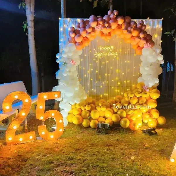 25th Birthday Backdrop Decoration